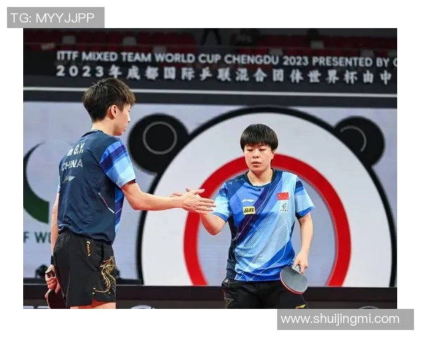 杭州乒乓球队在世界杯中的团队协作表现分析与点评